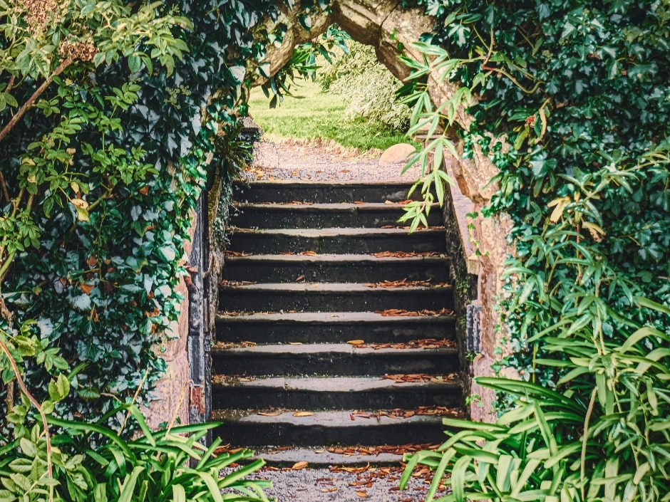 A stone staircase leads up through an archway of lush greenery and trees in a garden setting.