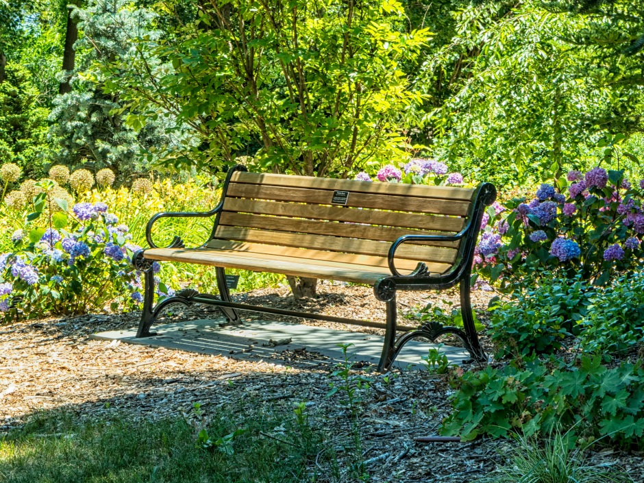 Wooden park bench surrounded by colourful hydrangea and other flowers in a lush garden setting.