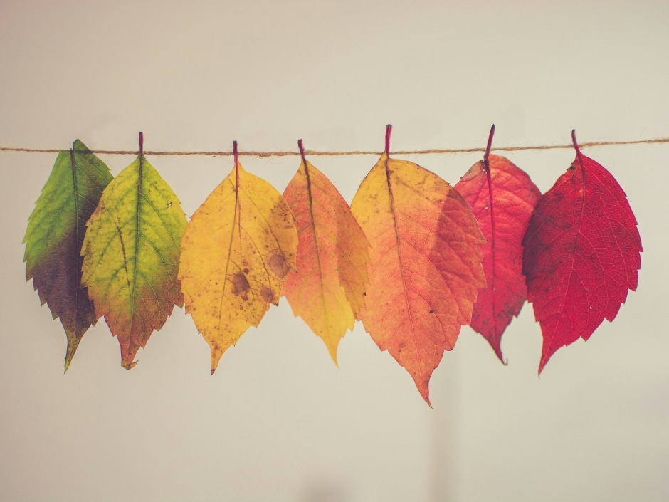 Row of autumn leaves in shades of green, yellow, orange and red hanging from a string.