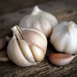 Garlic