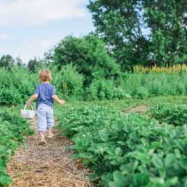 Stel jou kinders aan tuinmaak voor