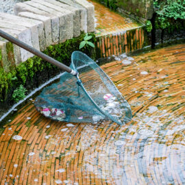 Spruce up your ponds or water features