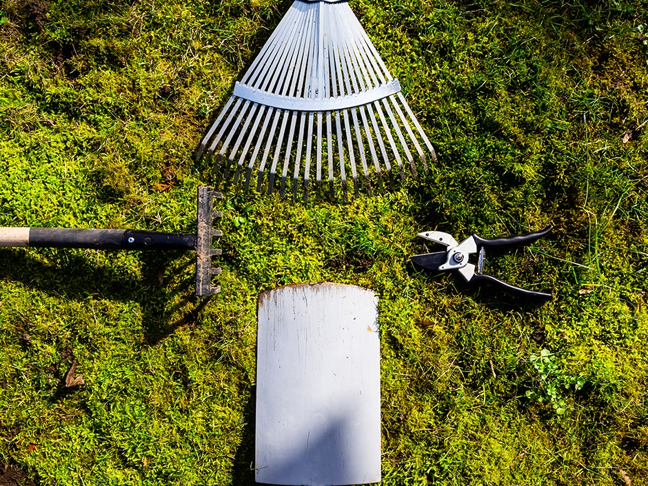 Overhead view of a two metal rakes, shears, and shovel facing each other and lying on green moss in a garden.