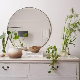 Decorating with Indoor Plants