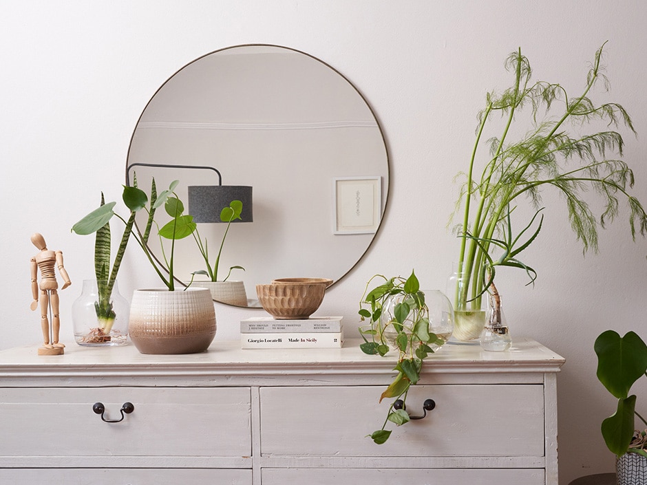 Stylish vignette with various houseplants including asparagus fern, pothos, and lucky bamboo arranged on vintage white dresser with round mirror.