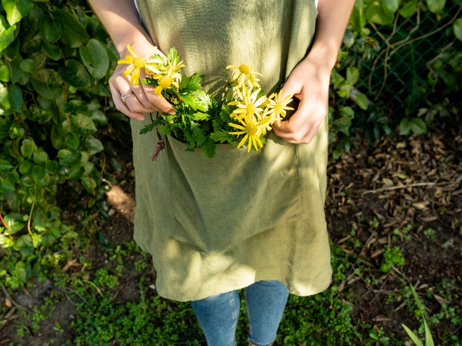 A person holding yellow flowers and green leaves in their hands, standing in a garden with sunlight filtering through foliage. They wear a green apron over blue jeans.