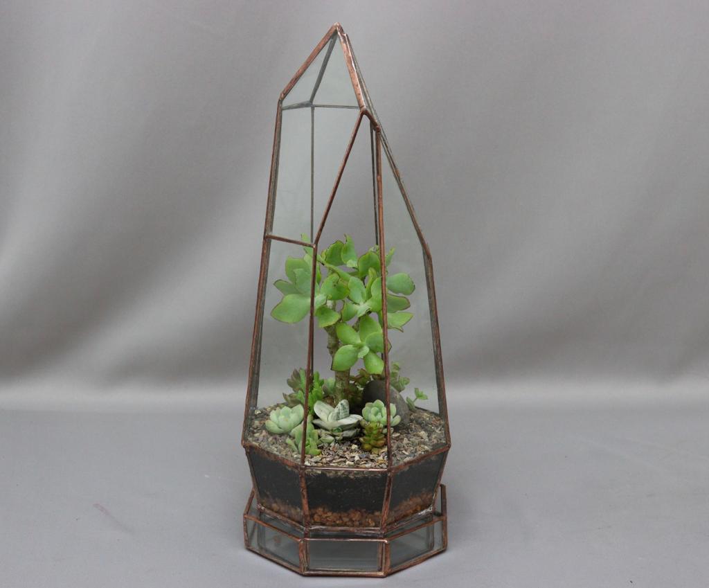 A medium-sized glass and brass terrarium with assorted succulents inside against a plain grey background.