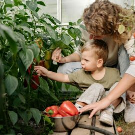 Growing vegetables with kids in winter
