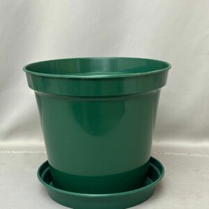 PLASTIC SAUCER GREEN 7.5CM – 35CM