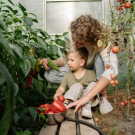 December gardening fun with kids