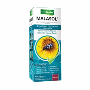 MALASOL 100ML OR 200ML