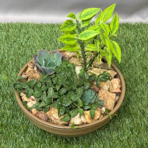 GLAZED POTTED SUCCULENT BOWL 23CM