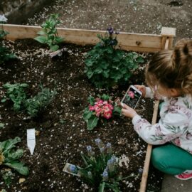 Fast-growing plants to grow with your kids