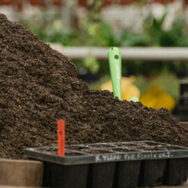 The best composting guide for beginners