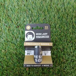 THE IRON LADY SEED – FEMINIZED